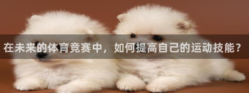 yy易游官方正版app集团E.ON：在未来的体育竞赛