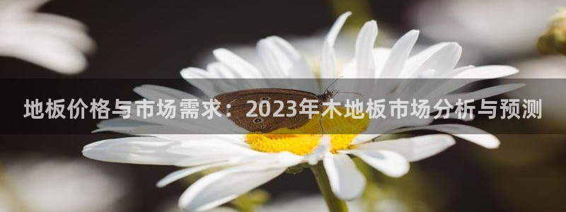 yy易游官方正版app官方：地板价格与市场需求：20