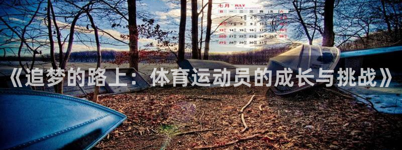yy易游官方正版app集团简介：《追梦的路上：体育运