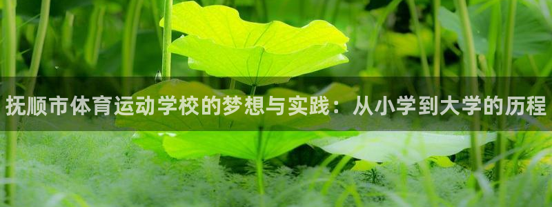 yy易游官网下载招商电话地址是多少