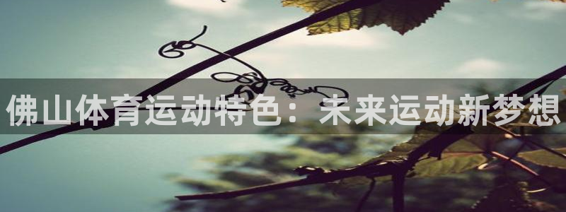 yy易游官网下载招商电话号码是多少啊：佛山体育运动特