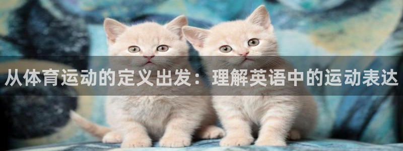 yy易游官方正版app集团logo：从体育运动的定义出发：理