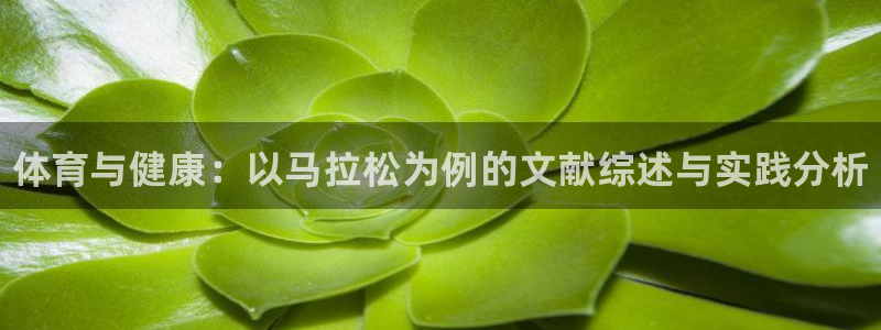 yy易游官方正版app集团官网首页网址：体育与健康：以马拉松
