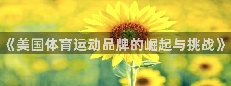 yy易游官方正版app集团：《美国体育运动品牌的崛起与挑战》