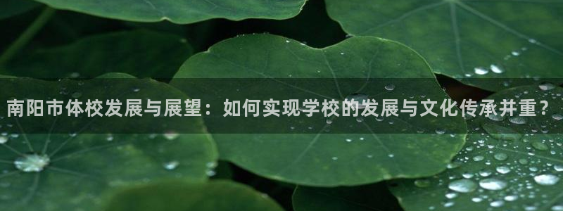 yy易游官方正版app集团官网首页：南阳市体校发展与