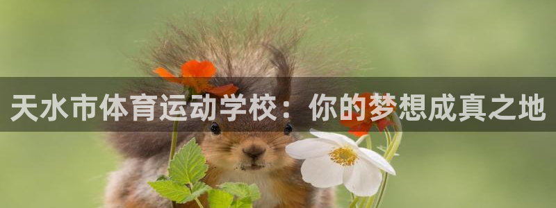 yy易游官方正版app娱乐40996