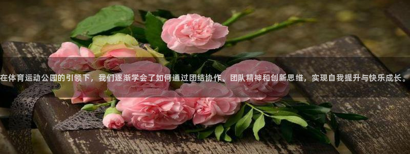 yy易游官网下载联系电话：在体育运动公园的引领下，我