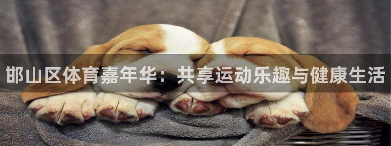yy易游官网下载平台APP：邯山区体育嘉年华：共享运动乐趣与
