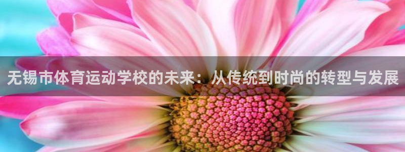 yy易游官网下载平台注册要钱吗：无锡市体育运动学校的未来：从