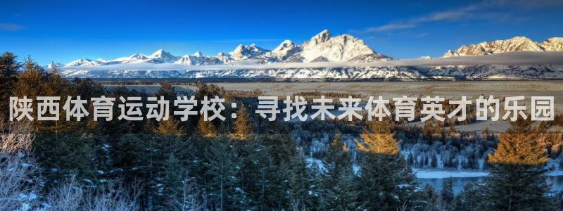 注册yy易游官方正版app：陕西体育运动学校：寻找未