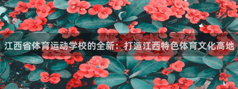 海南yy易游官网下载：江西省体育运动学校的全新：打造江西特色