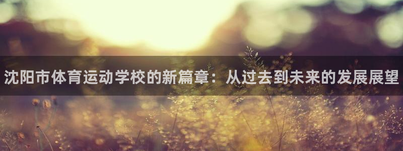 yy易游官网下载平台：沈阳市体育运动学校的新篇章：从过去到未