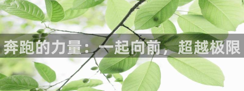 yy易游官网下载招商电话号码是多少