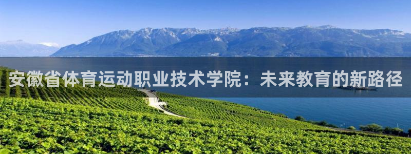 yy易游官方正版app娱乐：安徽省体育运动职业技术学院：未来