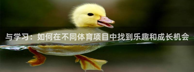 yy易游官方正版app娱乐：与学习：如何在不同体育项目中找到