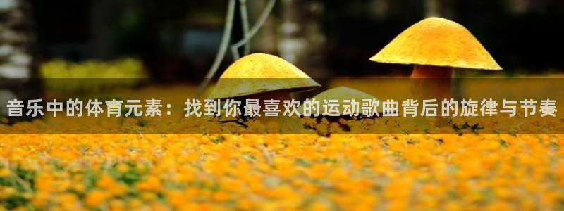 yy易游官网下载软件：音乐中的体育元素：找到你最喜欢的运动歌