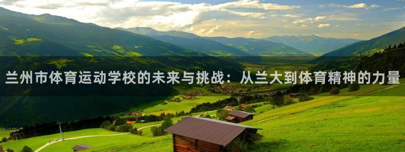 yy易游官方平台体育