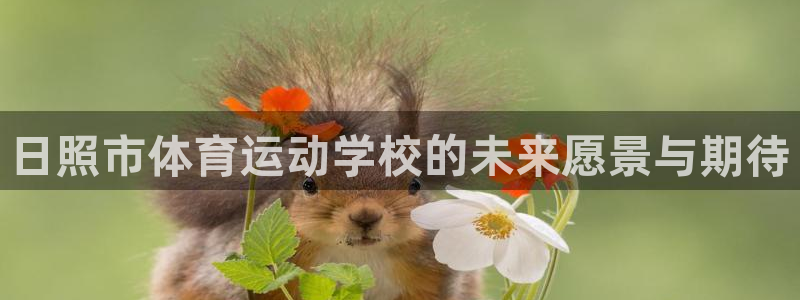 yy易游体育电竞登录不上去了