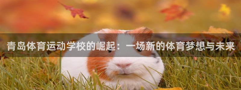 yy易游体育是正规的吗安全吗知乎
