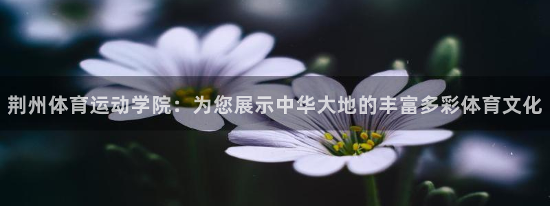  yy易游体育平台：荆州体育运动学院：为您展示中华大地的丰富多