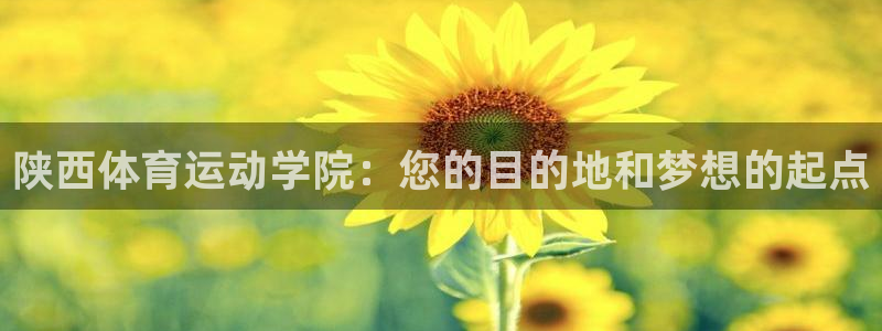 yy易游体育电竞：陕西体育运动学院：