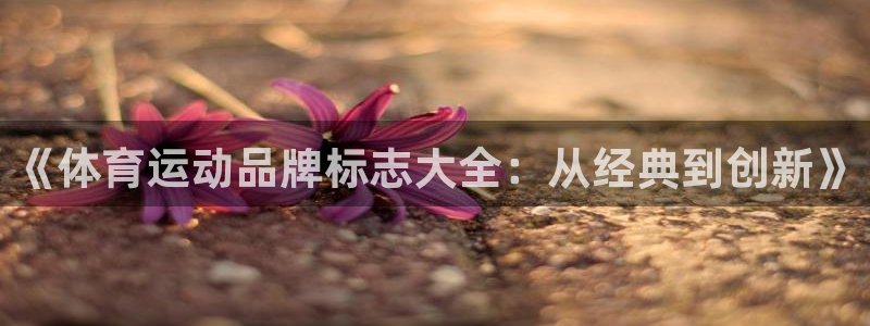 yy易游体育平台能提现吗：《体育运动