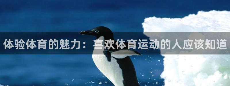 yy易游体育app最新版本更新内容是什么：体验体育的魅力：喜