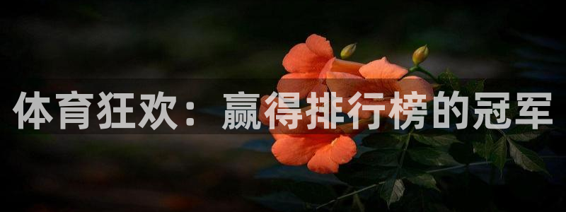  yy易游体育贴吧：体育狂欢：赢得排行榜的冠军