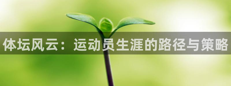  yy易游体育是正规的吗安全吗：体坛风云：运动员生涯的路径与策