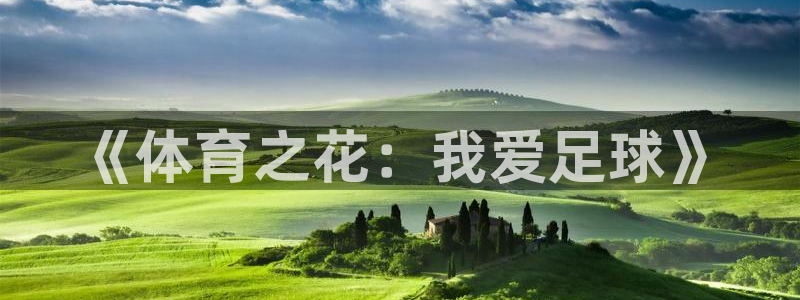 YY易游体育app最新版本更新内容