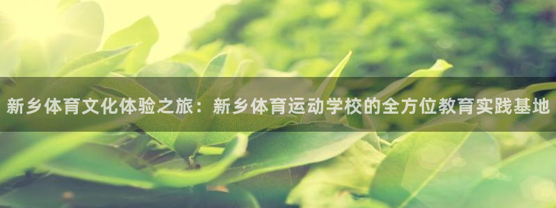 yy易游体育米乐：新乡体育文化体验之